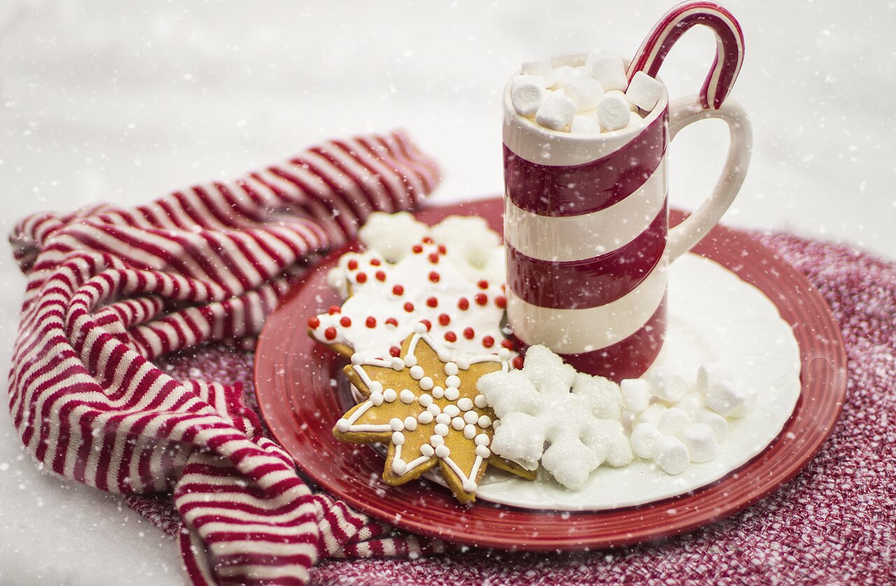 Hot cocoa with gingerbread cookies